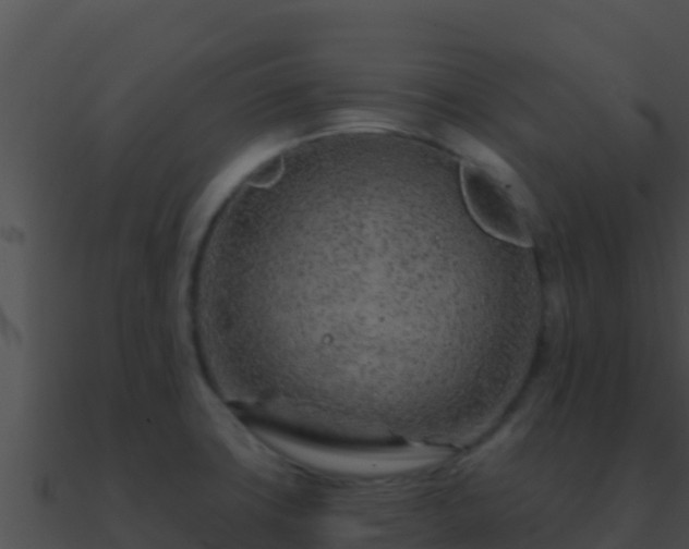 X0000090871427200708030959