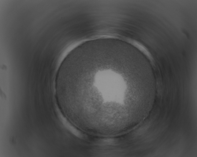 X0000090871431200708030959