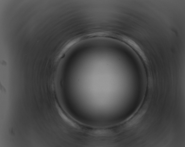 X0000090871433200708030959