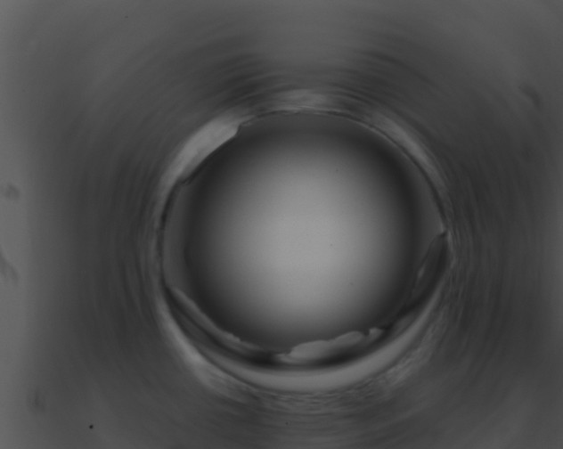 X0000090871434200708031000