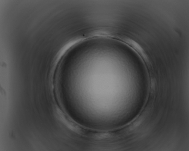 X0000090871435200708031000