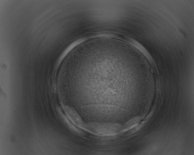 X0000090871436200708031000