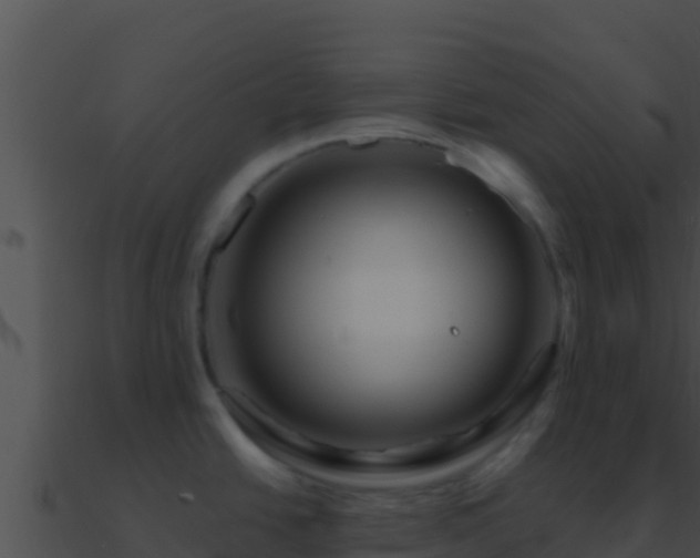 X0000090871438200708031000