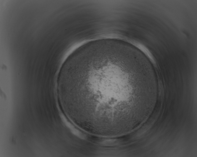 X0000090871439200708031000