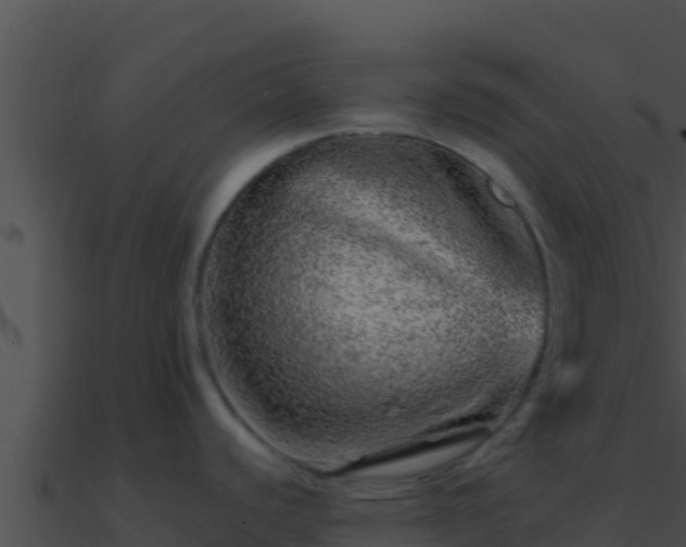 X0000090871440200708031000