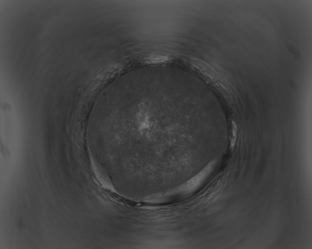 X0000090871441200708030959