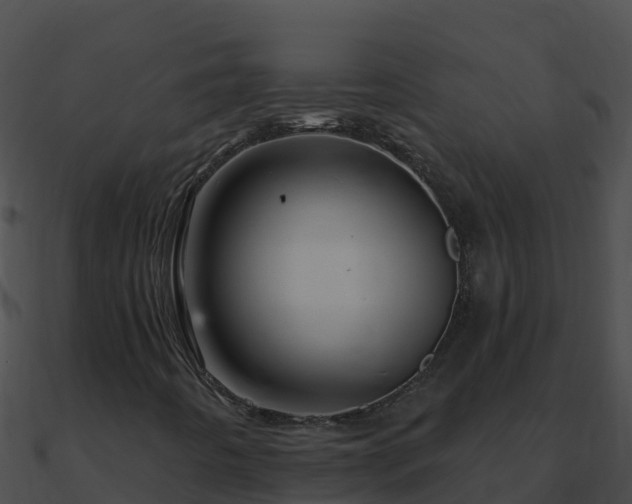 X0000090871442200708030959