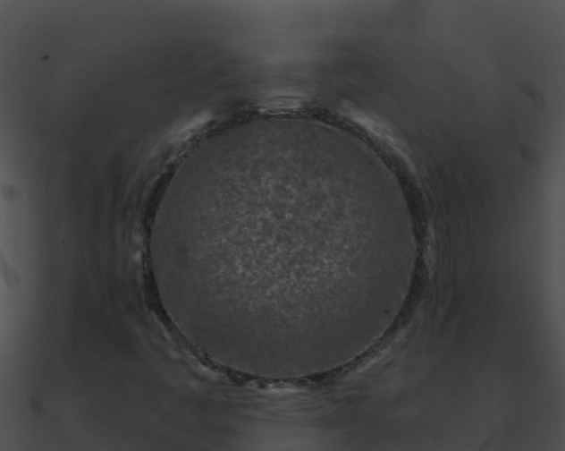 X0000090871445200708030959