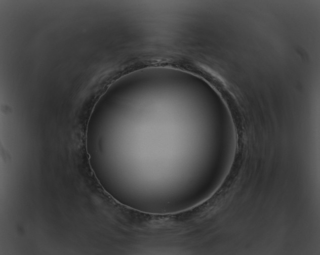 X0000090871447200708030959