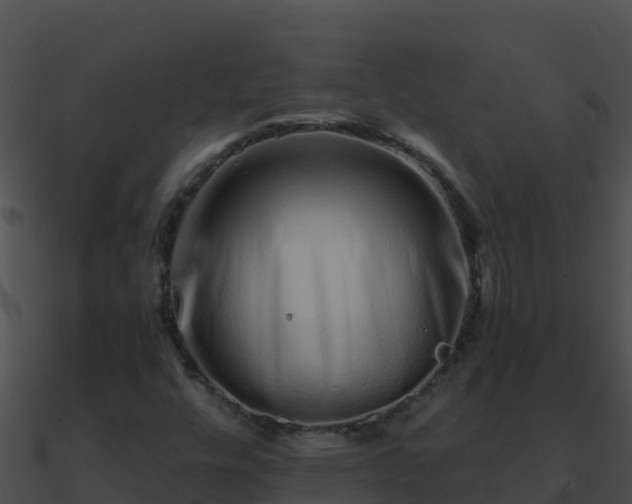 X0000090871448200708030959