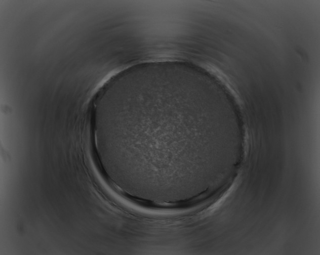 X0000090871449200708030959