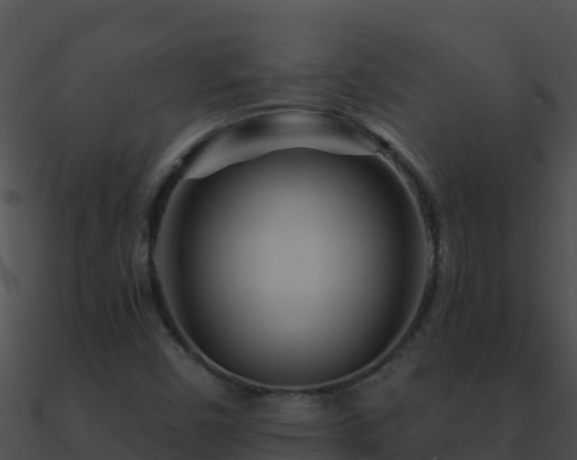 X0000090871450200708030959