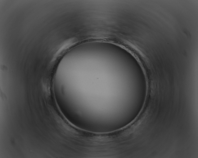 X0000090871451200708030959