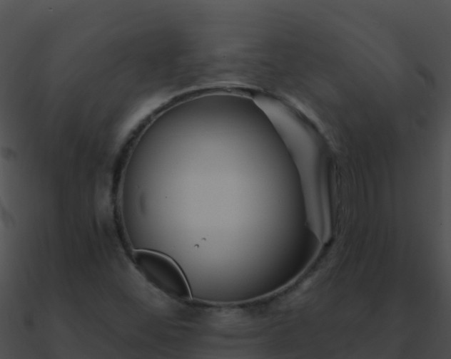 X0000090871452200708030959