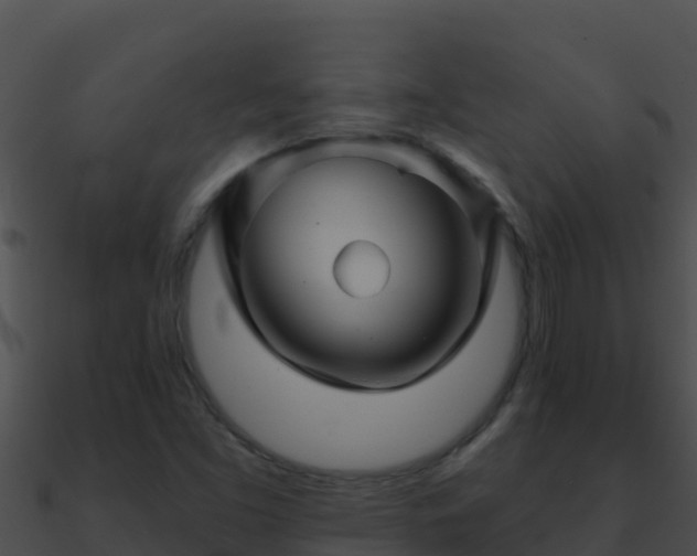 X0000090871453200708030959