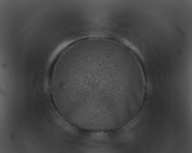 X0000090871454200708030959