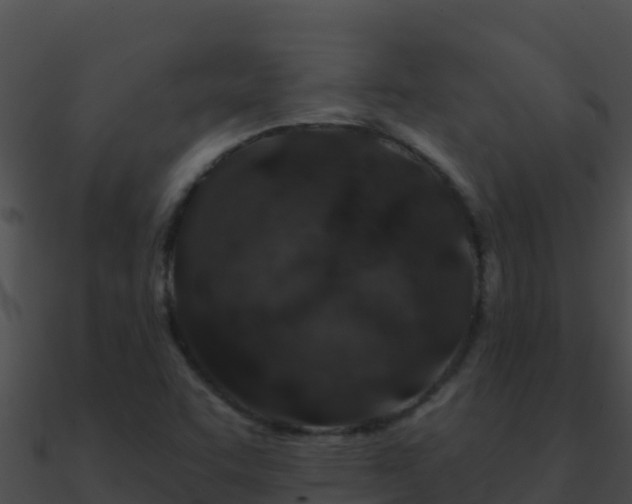 X0000090871455200708030959