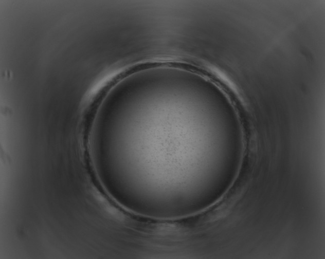 X0000090871456200708030959