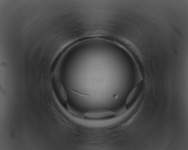 X0000090871457200708030959