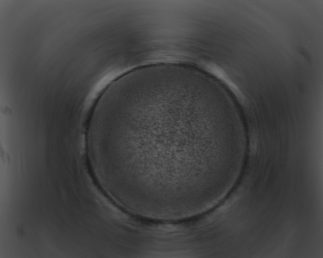 X0000090871459200708030959