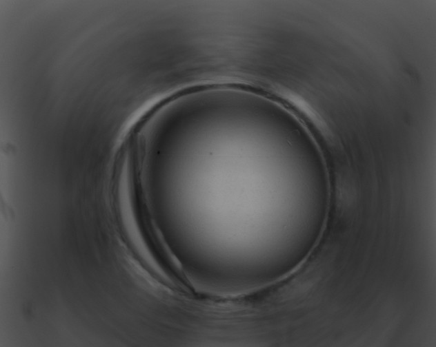 X0000090871460200708030959