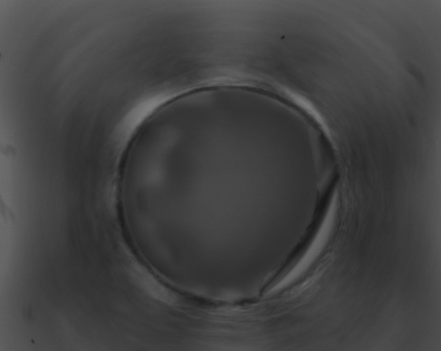 X0000090871463200708030959