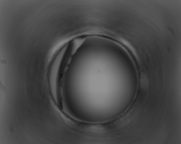 X0000090871464200708030959