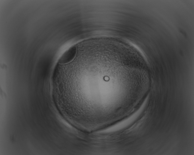 X0000090871467200708030958