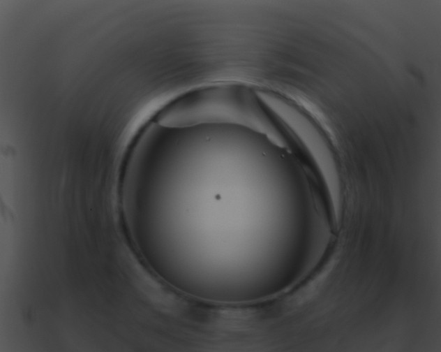 X0000090871469200708030958