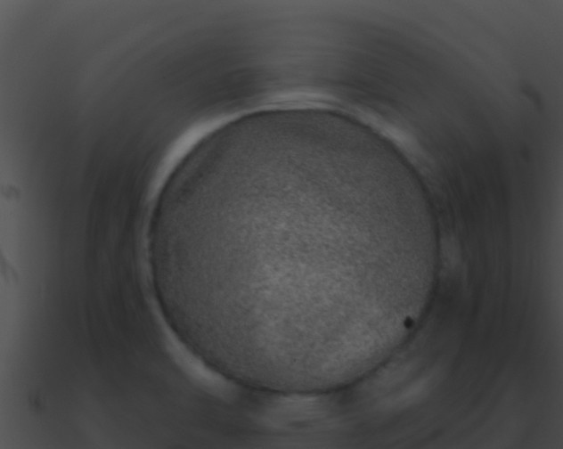 X0000090871470200708030958