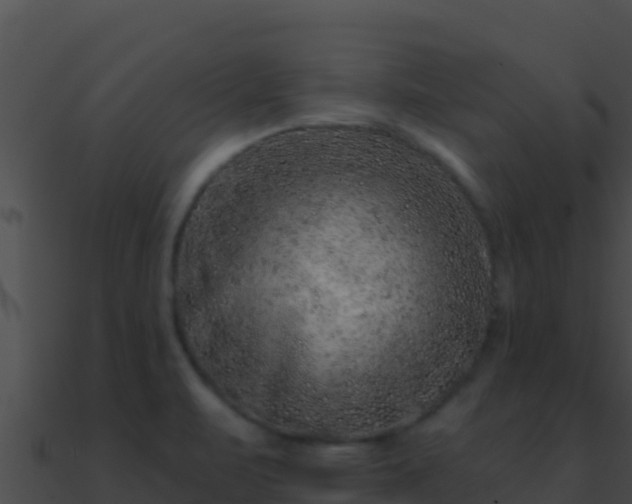 X0000090871471200708030958