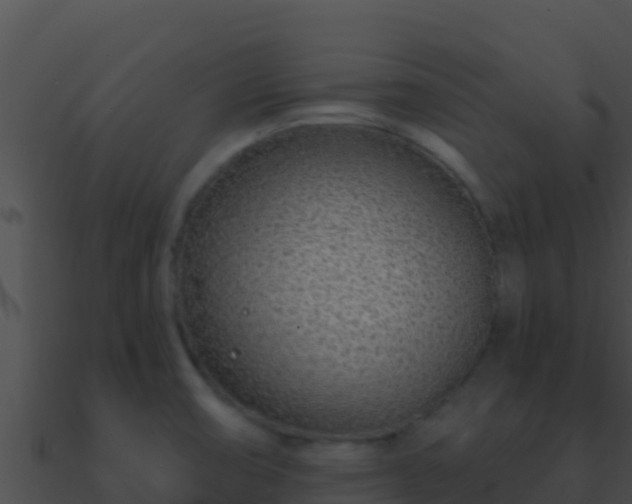 X0000090871474200708030958