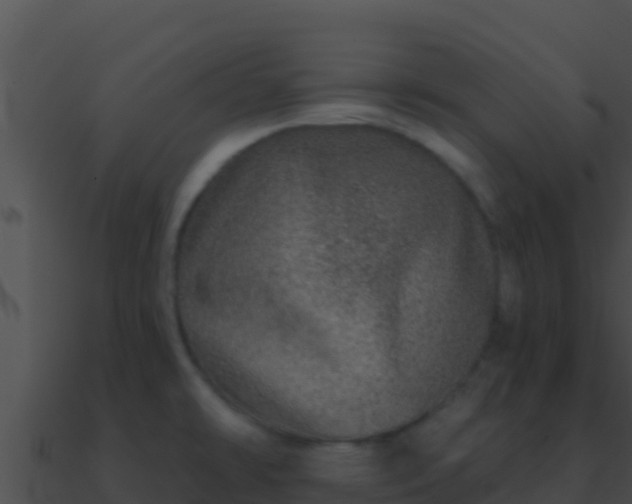 X0000090871478200708030958