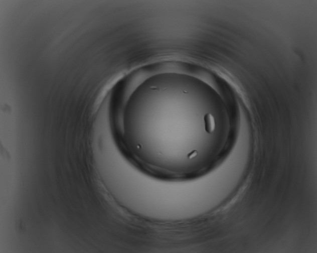 X0000090871481200708030958