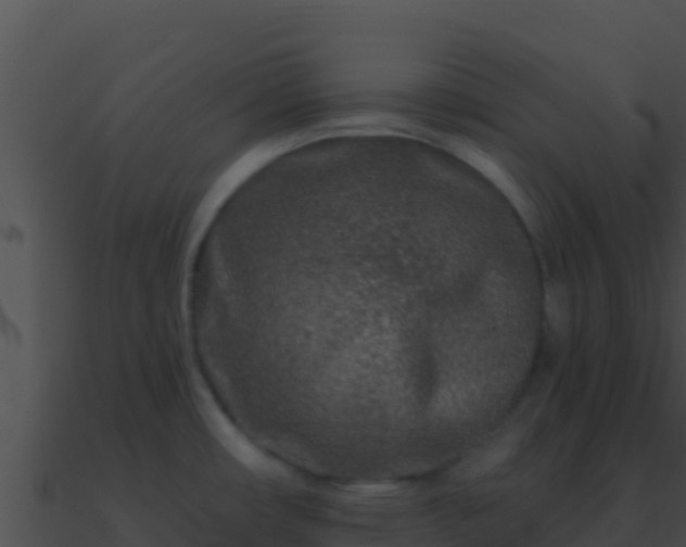 X0000090871482200708030958