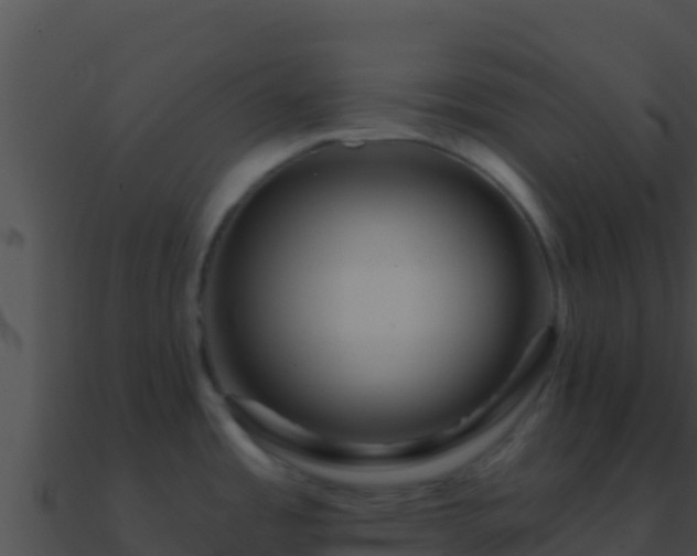 X0000090871485200708030958