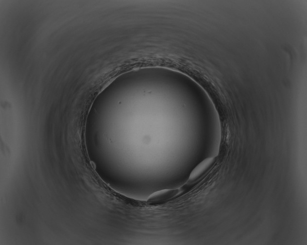 X0000090871489200708030958