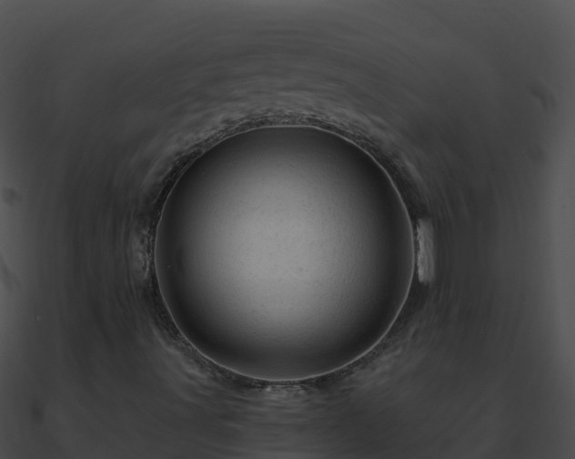 X0000090871491200708030958