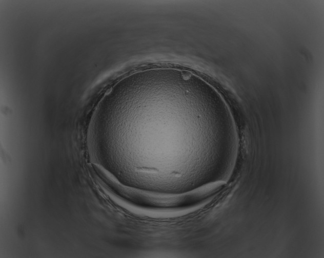 X0000090871494200708030958