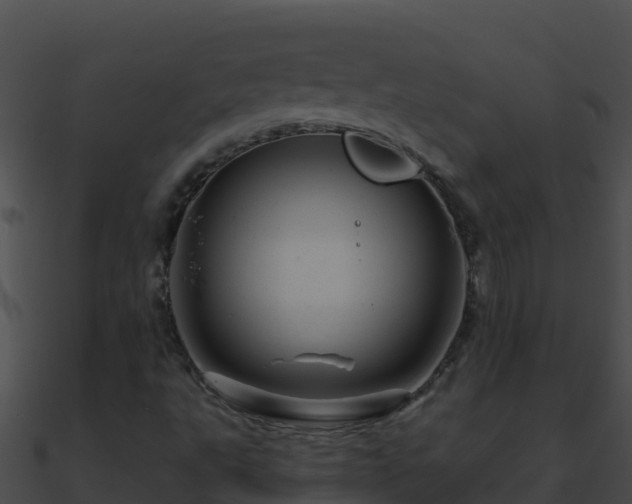 X0000090871495200708030958