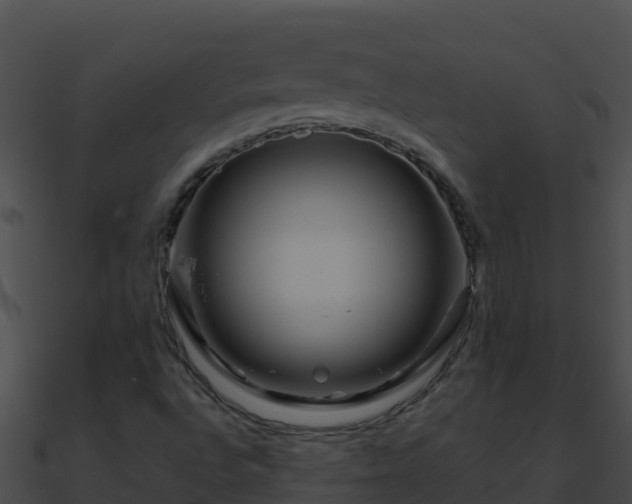 X0000090871496200708030958