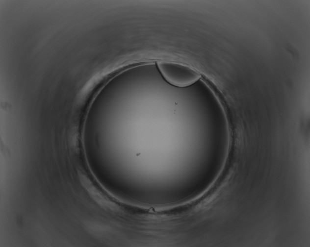 X0000090871499200708030958