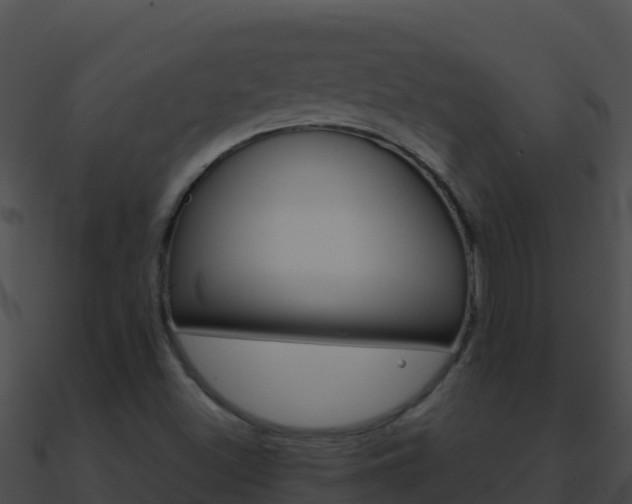 X0000090871500200708030958