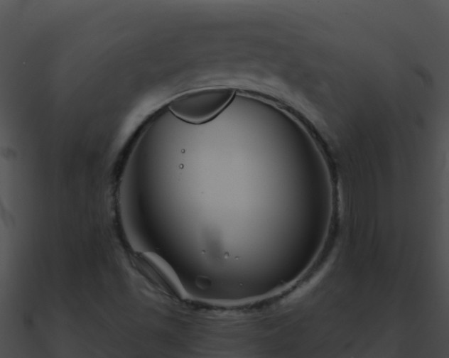 X0000090871501200708030958