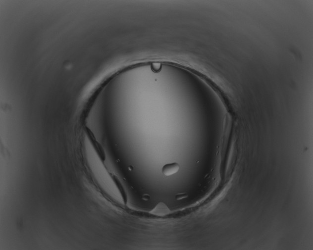 X0000090871502200708030958