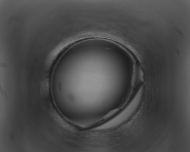 X0000090871503200708030958