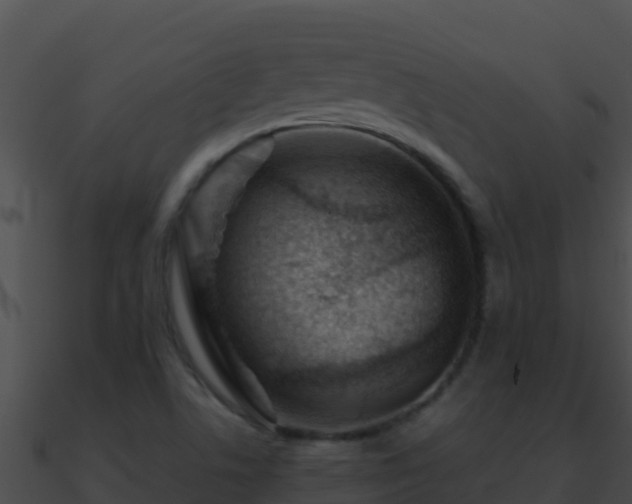 X0000090871506200708030958