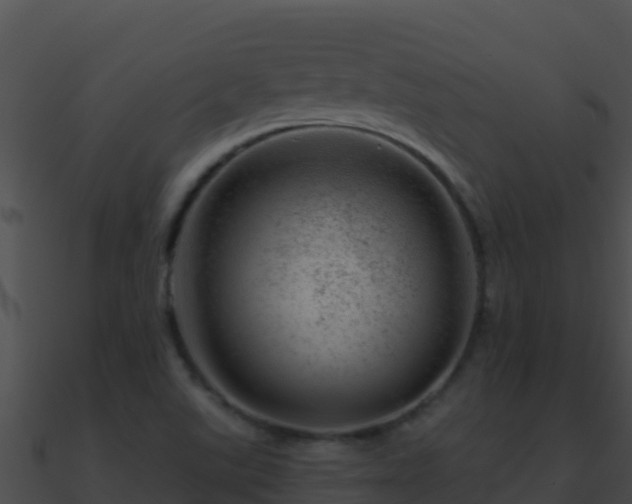 X0000090871507200708030958