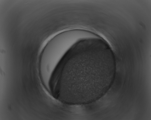 X0000090871508200708030958