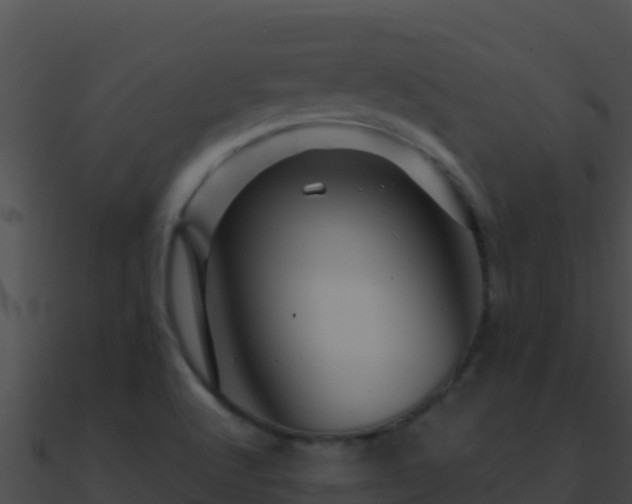 X0000090871512200708030958